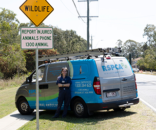 RSPCA Queensland Animal Ambulance Officer